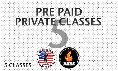 Pre Paid 5 Private Classes - American Top Team Connecticut Only
